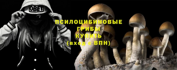 не бодяженный Аркадак
