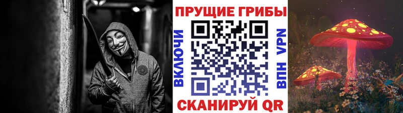 Псилоцибиновые грибы Cubensis  OMG зеркало  Валуйки  даркнет сайт 